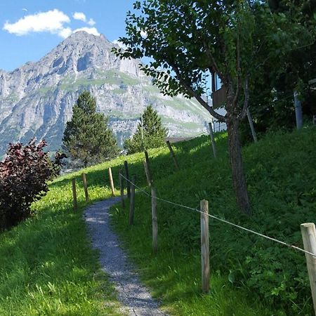 Chalet Waergistal Гринделвалд Екстериор снимка