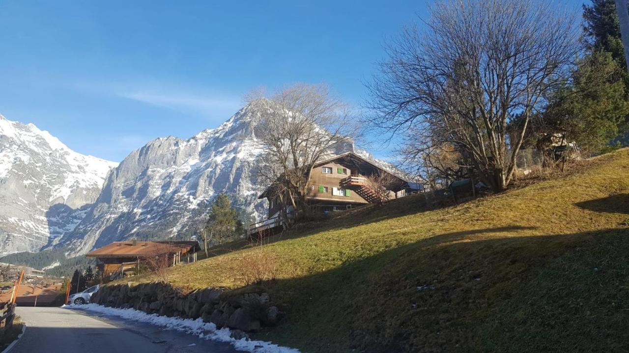 Chalet Waergistal Гринделвалд Екстериор снимка