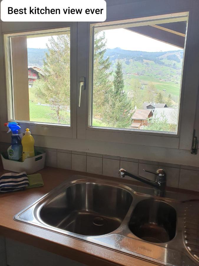 Chalet Waergistal Гринделвалд Екстериор снимка