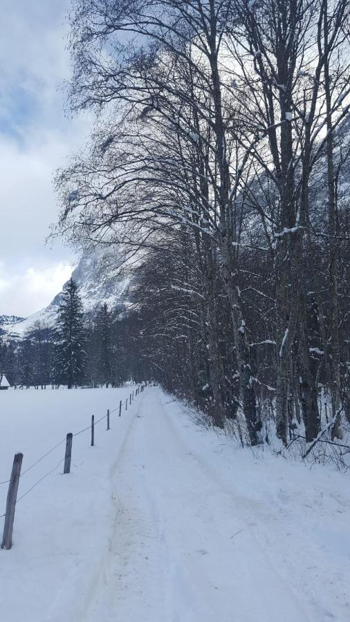 Chalet Waergistal Гринделвалд Екстериор снимка